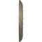 Ekena Millwork Jackson Ceiling Medallion (Canopies up to 7 3/8"), 12 1/4"OD x 4"ID x 1 1/8"P, Witch Hazel Crackle CM12JAWHC - alternate 4